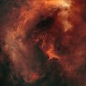 Ender Sanchez Email