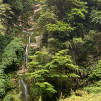 Alpha & Omega Semiconductor Employee Xiaobin Wang's profile photo