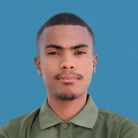 Kubiweb Employee Zafimanoela Roméo's profile photo