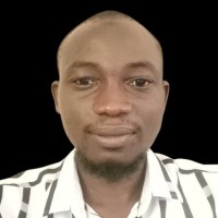 Gasfleet Engineering Limited Employee Ibrahim Balogun's profile photo