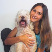 Harbour Collective Employee Taighan Schroder's profile photo