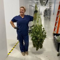 Redbud Roots Employee Tammy Pressler's profile photo