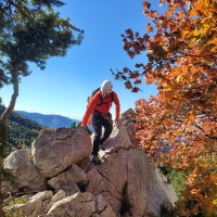 Ryan Jamieson Email & Phone Number