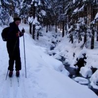 E.ON Sverige Employee Ingmar Kronfeldt's profile photo