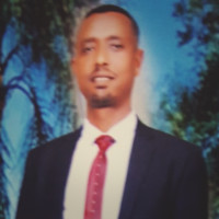 Abayneh Kebede Email