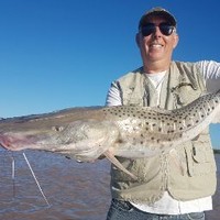 MABOR Employee Milton Bortolotto's profile photo