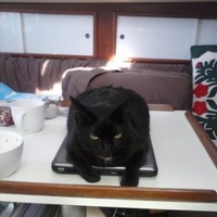 uKnow Employee Michael McKinney's profile photo