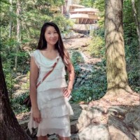 Anh To's profile photo