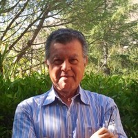 Università di Catania Employee Vito Librando's profile photo