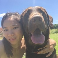 Dunkin Donuts Employee Keyan Yu's profile photo