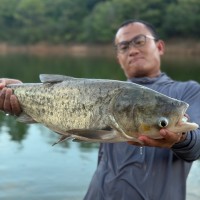 Fengchun Yang Email & Phone Number