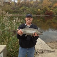 Steve Kibbons Email & Phone Number