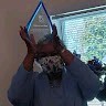 excellent tours Employee Paul Roberson's profile photo