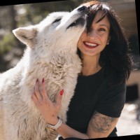 Wolf Connection Employee Amanda Beer's profile photo
