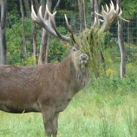 Xulon Press Employee Bobbie Rodriguez's profile photo