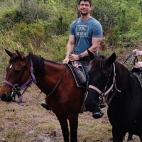 Waskey Bridges, Inc Employee Daniel Fakouri's profile photo