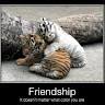 Treasury Employee Tiger Lover's profile photo