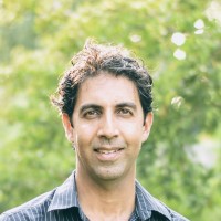 Spinodal Employee Shai Elbaz's profile photo