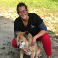 Vet At Your Door - Veterinary House Call Services Employee Abigail Messina's profile photo