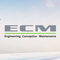 ECM Engineering Conception Maintenance Employee Benoit Lartigau's profile photo