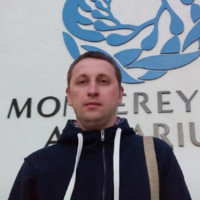 DecisionMapper Employee Alexey Tsarev's profile photo
