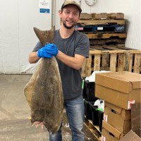 Intershell Seafood Employee Dimitrios Baglaneas's profile photo