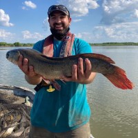 Illinois Natural History Survey Employee Toby Holda's profile photo