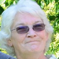 NowLifeStyle Affiliate Employee Kay Peterson's profile photo