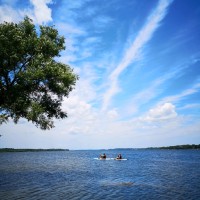 Foran's Roofing & Sheetmetal Employee Sarah Yang's profile photo