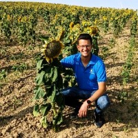 Yara UK Employee Joaquim Messa's profile photo