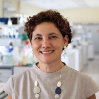 Ayça Arslan Email