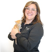 Heidi Boyd Email & Phone Number