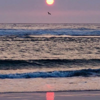 Self-employed Employee Les Sinclair's profile photo