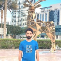 TechScape Software Solutions Employee Yasir Hussain's profile photo