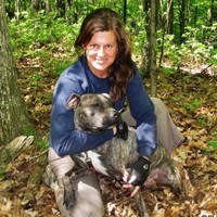 Stray Rescue of St. Louis Employee Donna McCall's profile photo