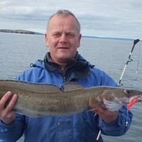 STREAMLINE SHIPPING AGENCIES LIMITED Employee Graham Campbell's profile photo
