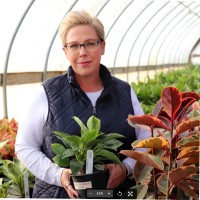 Fast Growing Trees Employee Jackie Ready's profile photo