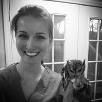 Amanda Wight Email & Phone Number