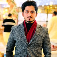 Malik Hamid Email