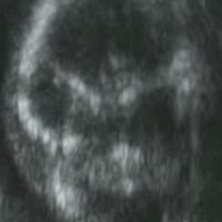 Ted Burk Email & Phone Number