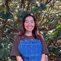 ArtsWorcester Employee Anna Parisi's profile photo