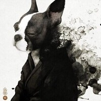 普惠金融 Employee 杨立斌's profile photo