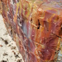 Excel Physical Therapy Employee Dave Patel's profile photo