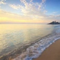 Tammy Manns's profile photo