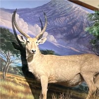 Cabela's Employee Lori Chambers's profile photo