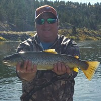 Shay Roofing Inc Employee A Reaka's profile photo