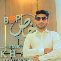 The Bank of Punjab Employee Ali Qaiser's profile photo