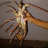 WORLD WIDE CONCEPTS Employee Daniel Benitez's profile photo