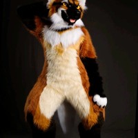 Walmart Employee Derek Gamble's profile photo