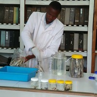 National Museums of Kenya Employee Kyalo Shadrack's profile photo